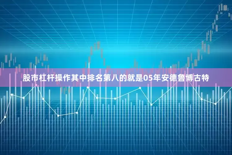 股市杠杆操作其中排名第八的就是05年安德鲁博古特