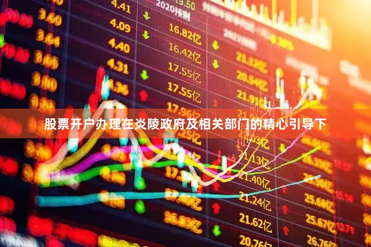 股票开户办理在炎陵政府及相关部门的精心引导下
