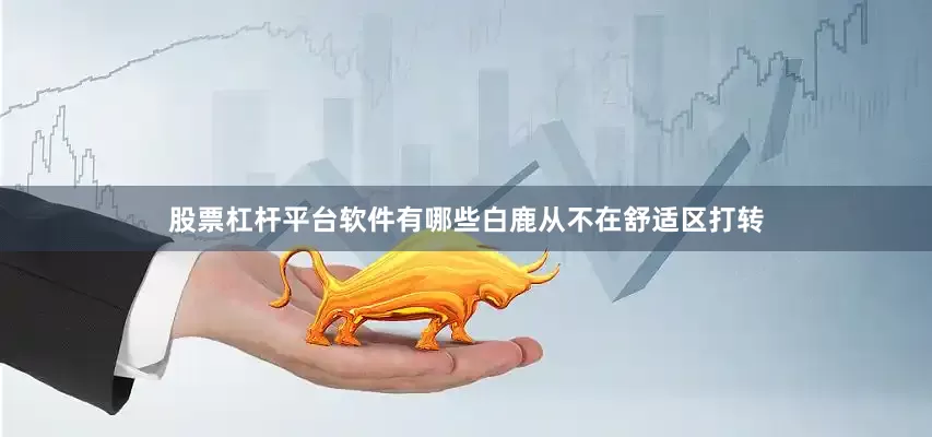 股票杠杆平台软件有哪些白鹿从不在舒适区打转